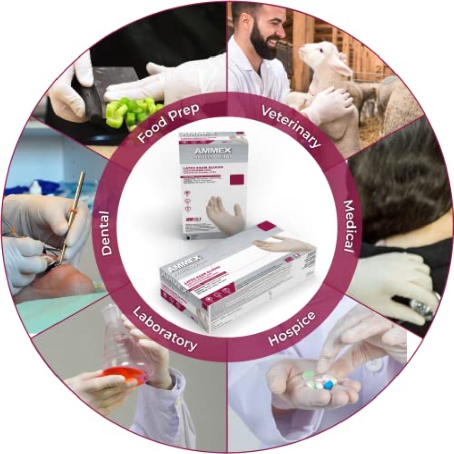 AMMEX White Latex Disposable E – Latex Disposable Glove recenzja i cena