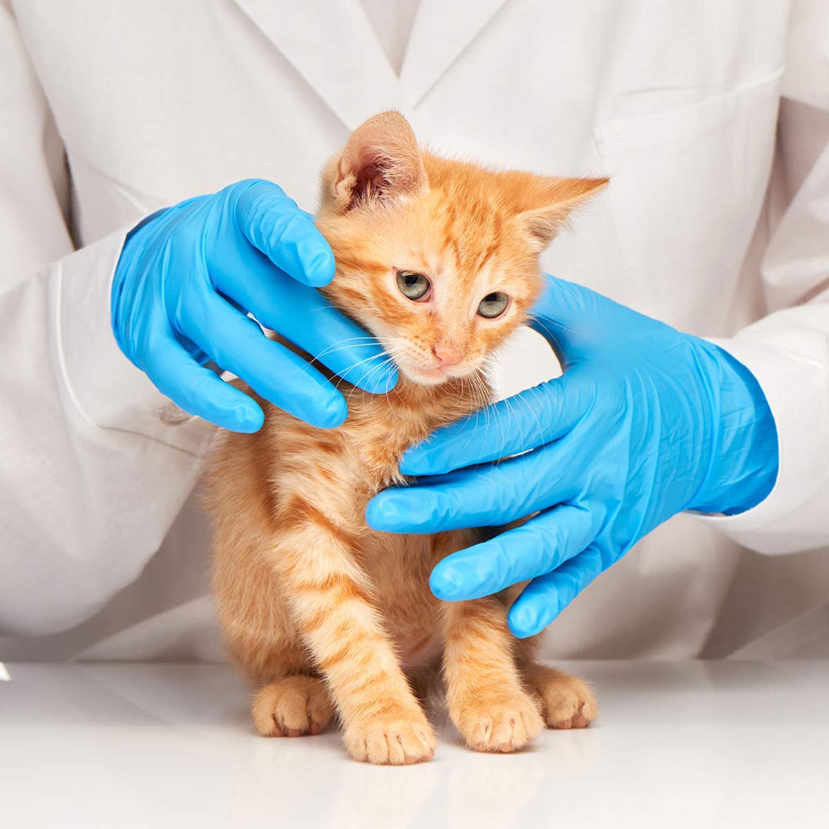 Latex-Free Blue Nitrile Exam G – Exam Glove Nitrile recenzja i cena